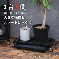 PLANTS DOLLY プランツ・ドリー【予約販売品です。5月中旬発送予定】　水受けトレー付き鉢受け台 水やり…