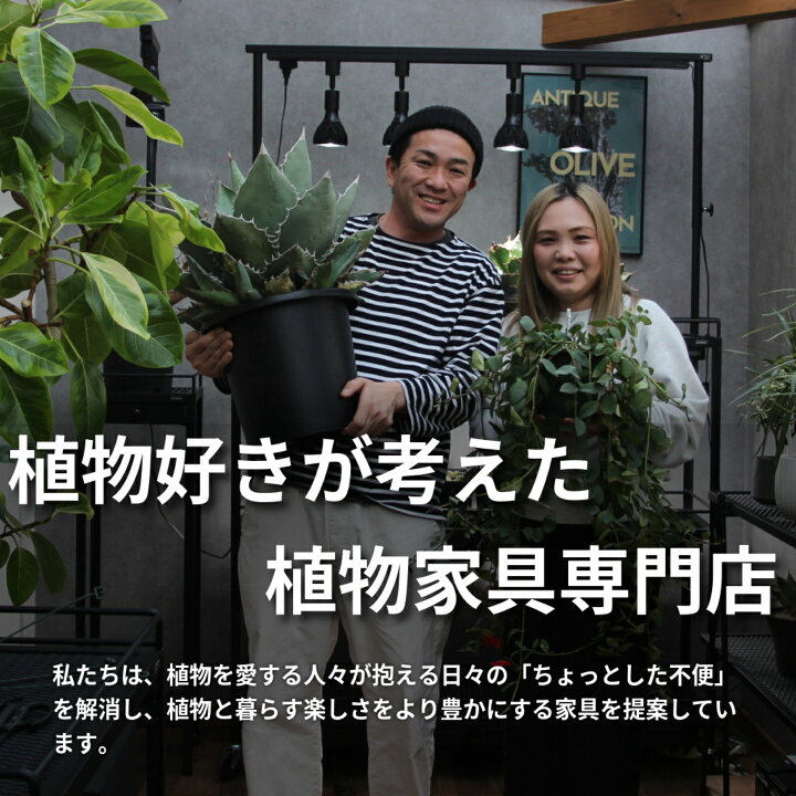 楽天市場】植物棚スターターセット 水受けトレー付1段植物棚 mini植物 