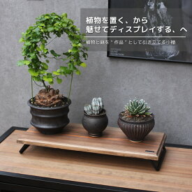 LOW DISPLAYBOARD　ローディスプレイボード　ひな壇スタンド　スタンド　卓上　エアープランツ　ラック　小棚　高低差　便利　コンパクト　lim iron craft　スーパーセール