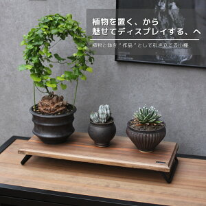 �yLOW DISPLAYBOARD�z�@���[�f�B�X�v���C�{�[�h�@�ЂȒd�X�^���h�@�X�^���h�@���@�G�A�[�v�����c�@���b�N�@���I�@���፷�@�֗��@�R���p�N�g�@lim iron craft�@�X�[�p�[�Z�[��