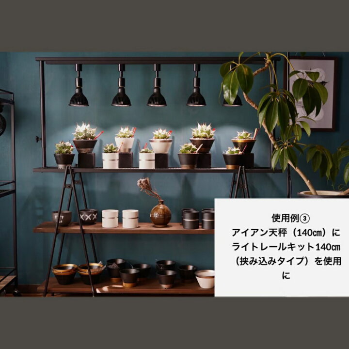楽天市場】ライトレールスタンド 卓上スタンド ライト 育成ライト 植物 
