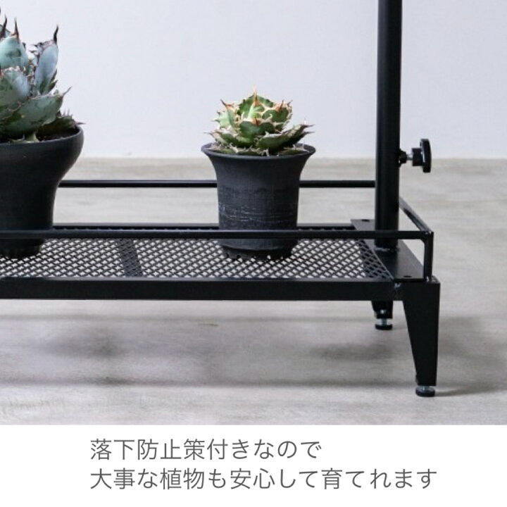楽天市場】10/7以降の発送予定 mini植物棚 植物棚 アガベ 塊根植物 