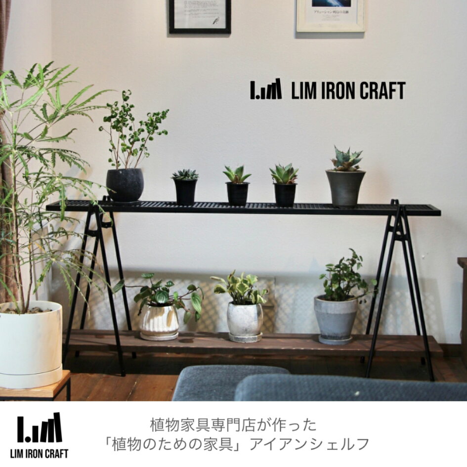 楽天市場 | LIM IRON CRAFT - 植物家具専門店