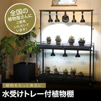 楽天市場】ダクトレール 観葉植物（フラワースタンド・園芸ラック