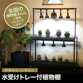 水受けトレー付植物棚 　ガベラック　植物棚 アガベ 塊根植物 観葉植物 アイアンシェルフ 育成ライト 室内管理　　アガベ棚　ダクトレール植物棚　ライトレール付き 　植物ラック　lim iron craft　おしゃれ　スタンド　室内　アイアン　棚