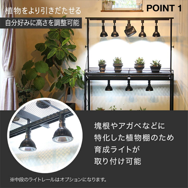 楽天市場】水受けトレー付植物棚 ガベラック 植物棚 アガベ 塊根植物 