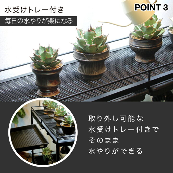 楽天市場】水受けトレー付植物棚 ガベラック 植物棚 アガベ 塊根植物  
