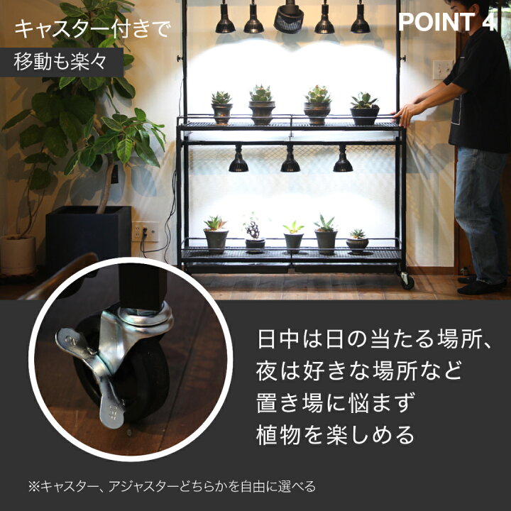 楽天市場】水受けトレー付植物棚 ガベラック 植物棚 アガベ 塊根植物 