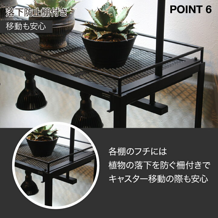 楽天市場】水受けトレー付植物棚 ガベラック 植物棚 アガベ 塊根植物 
