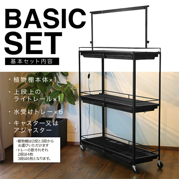 楽天市場】水受けトレー付植物棚 ガベラック 植物棚 アガベ 塊根植物  