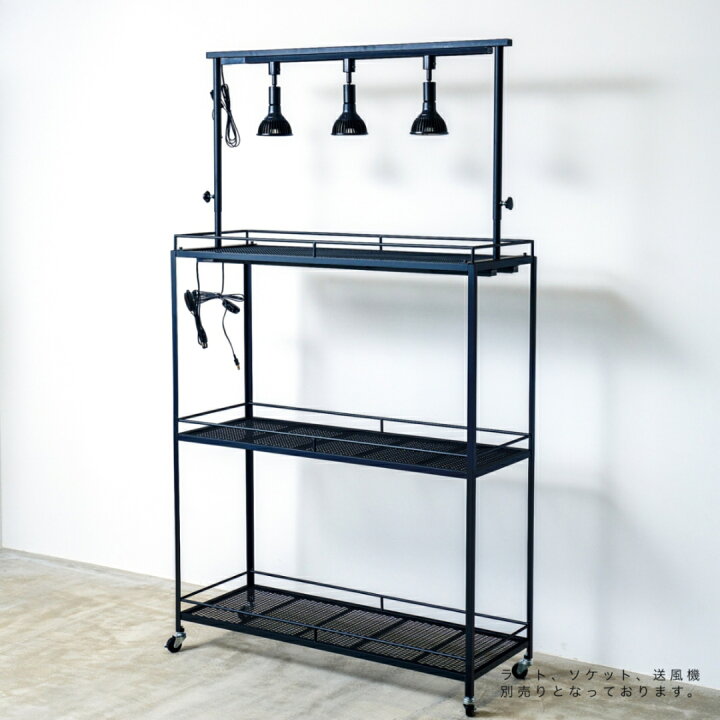 楽天市場】セミオーダー植物棚 アガベラック 塊根ラック 育成ラック  