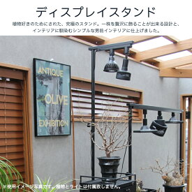 ディスプレイスタンド【300は予約販売品】　displaystand 植物育成ライト 育成ライトスタンド 　テラリウム 塊根植物 観葉植物 コンパクト 鉢 ディスプレイ おしゃれ オシャレ 光合成 シンプル ライト 太陽光 育成 照明 室内 育苗 くろ 黒　スタンド　スーパーセール