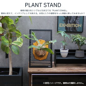PLANT STAND　ビカクシダ　ビカクシダスタンド　ビカクシ　板付　スタンド　卓上　エアープランツ　プランツスタンド　網　引っかける　観葉植物　コンパクト　lim iron craft　スーパーセール