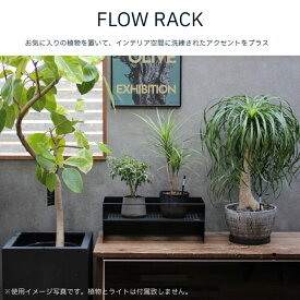 FLOWRACK　フローラック　ひな壇スタンド　スタンド　卓上　エアープランツ　ラック　高低差　便利　観葉植物　コンパクト　lim iron craft　スーパーセール