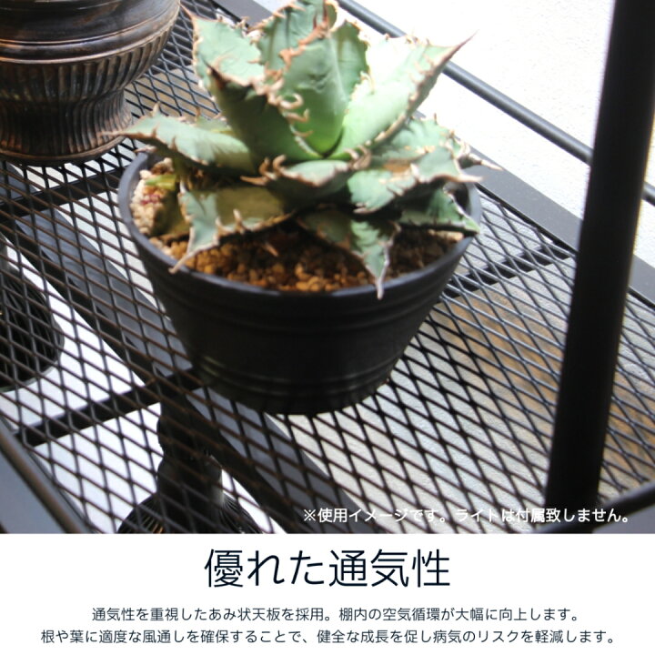 楽天市場】mini植物棚 植物棚 アガベ 塊根植物 観葉植物 アイアン 