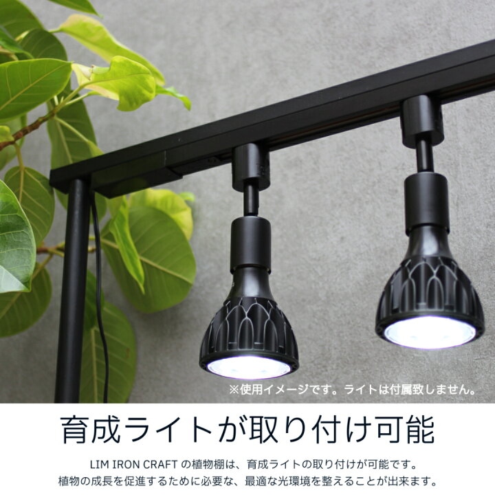 楽天市場】mini植物棚 植物棚 アガベ 塊根植物 観葉植物 アイアン 