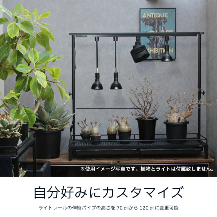 ☆送料込み☆アイアンシェルフ即購入OK 植物棚 ボタニカルシェルフ  