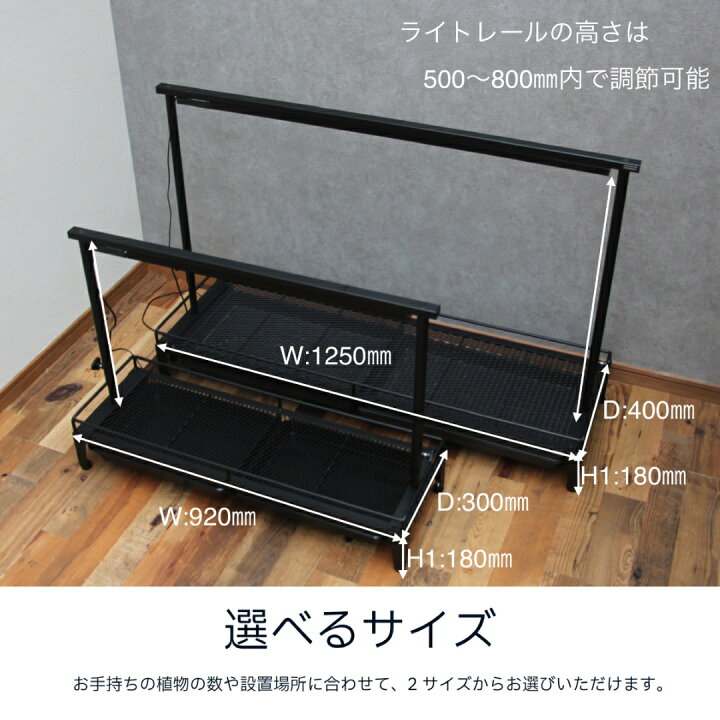 楽天市場】【水受けトレー付1段植物棚】 植物棚 アガベ 塊根植物 観葉 