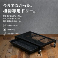 【PLANTS DOLLY】 プランツ・ドリー 水受けトレー付き鉢受け台 水やりが便利 楽 排水できる キャスター付…