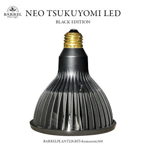 NEO TSUKUYOMI LED 20W A 琬 Cg  Ђ z ϗtA    Vv  Ɩ  c   ͔| ϋv  ANAE A 򍪐A Β fUC X^C