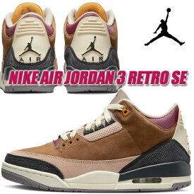 NIKE AIR JORDAN 3 RETRO SE archaeo brown/dk smoke grey dr8869-200 ナイキ エアジョーダン 3 レトロ SE スニーカー AJIII アーケオ ブラウン ダーク スモーク