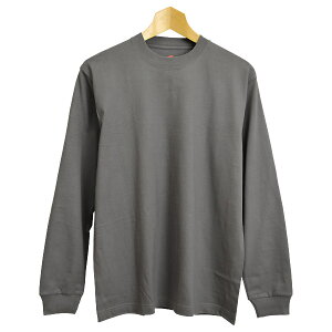 Hanes wCY r[tB[ OX[u TVc BEEFY-T  n wr[EFCg  ʔA15y15C0011z