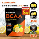 ★マラソン期間限定P5倍★リミテスト BCAA 450g 500g (プレーン・レモン風味・グレープフルーツ風味） 工場直販 グルタミン配合 国産 無添加 ロイシン バリン イソロイシン 2:1:1 プロテイン