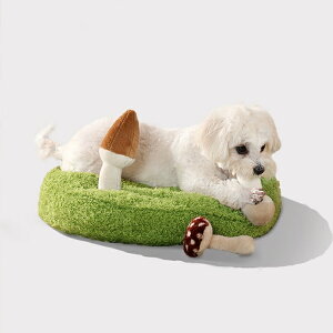 y t ybg NbV ̂/T{e/X z ʂ  zc Aj}  L e  Shes