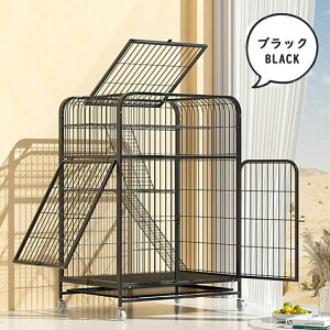 L P[W LbgP[W 3i L݌v Rgݍ킹 g[t LhAt nbNt ^ LQ[W   LbgnEX lR nEX i  ی Eh~ 