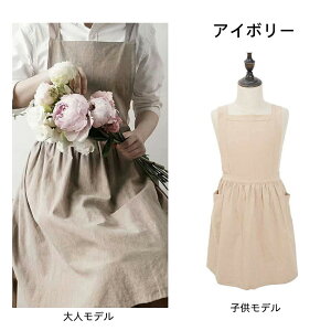 wxGv qp  ۈm 킢 s[X 傫TCY k JtF ۈm Vv i` n jtH[@K Ǝ  JtF Xg@