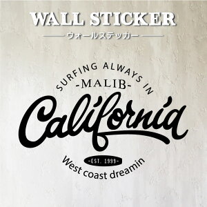 EH[XebJ[ JtHjAE1 ͂ Iׂ J[ CeAXebJ[ JtHjA T[teCXg r[` CD R[X^   p lC  