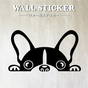 EH[XebJ[ t`uhbO ͂ CeAXebJ[ ǎOK ǎV[ tu uhbO   Aj} 킢  Vv VGbg mg[ D