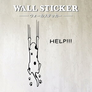 EH[XebJ[ HELP ͂ CeAXebJ[ lR ˂ L LD  Aj}  VGbg 킢  lC ǎXebJ[ p ǎɓ\ ǎOK ]ʃXeb