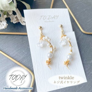 CO TODAY Twinkle nhChi 1yA  lWCO ߉mgD[ mz[ nhChANZT[ v`Mtg WANZT[ p[ h 킢