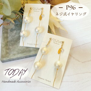 CO TODAY P96 lWCO 1yA  mz[ ߉ p[ Rbgp[ NX^KX v[g Mtg l킢  y AVg[ NX}