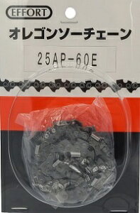 �G�z�[�g �\�[�`�F�[�� 25AP-60E�yK2023�z