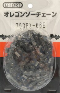 Gz[g \[`F[ 75DPX-84EyK2023z