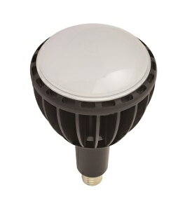 H(NICHIDO)GRrbNpLED(100W)L100W-E39J-WBK-50K Ɩ  Ɠ LED 2021