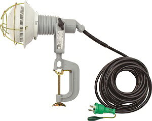 H(NICHIDO)Ɨp20WFAC100VoCXtitjAFL-E2010J Ɩ  Ɠ LED 2021