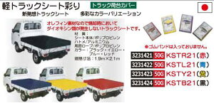 ygbNV[gʂ@F@KSTL21@בJo[