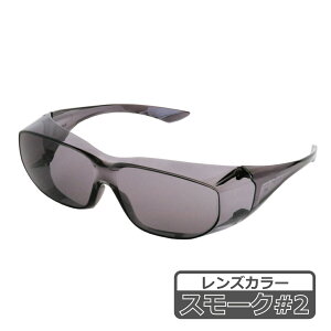 理研化学 保護めがね RS-20 レンズカラー:透明 / スモーク#2
