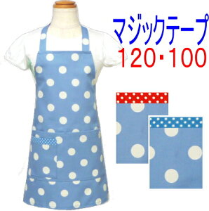 Gv q ǂ LbYWjA ̎q j̎q 120E100qVv Gvru[nɔ̐ʃhbg 120E100 }WbNe[v q qpGvǂ LbY W