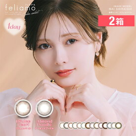 フェリアモ 10枚入り ×2箱セット PIA カラコン カラーコンタクト 1day ワンデー 1日使い捨て 度あり ナチュラル カラーコンタクトレンズ 14.5 14.2 白石麻衣