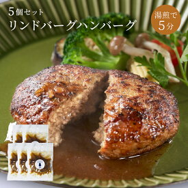 ハンバーグ 湯煎 【 冷凍 】5個 セット 国産 ひき肉 合挽 オニオンソース 湯せん チルド 温めるだけ 時短 お惣菜 お取り寄せグルメ ギフト 詰め合わせ 美味しい 冷凍ハンバーグ 高級ハンバーグ お取り寄せハンバーグ ハンバーグ通販 ハンバーグ黒毛和牛 【リンドバーグ】