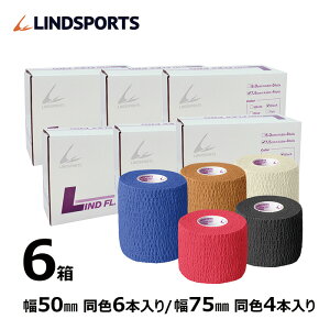 e[v htbNX PRO e[sO 50/75mm ^//// FTCY1/6 e[sOe[v LINDSPORTS hX|[c