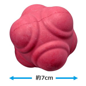 ANVjO{[ ANV{[ LINDSPORTS hX|[c