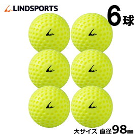 ディンプルボール(大) ソフトタイプ 6球入 少量販売 トレーニングボール 練習用 LINDSPORTS リンドスポーツ