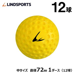 fBv{[  1_[X 12 싅 \tg{[ obeBO g[jO{[ Kp CG[ LINDSPORTS hX|[c
