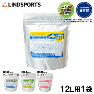 X|[chN  BCAAz O[vt[c /  / s[` 12Lp×1 p MǗ\h LINDSPORTS hX|[c