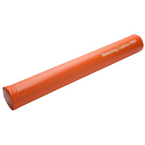 Xgb`ONbV PRO X 98cm Xgb`p|[ K|[ LINDSPORTS hX|[c